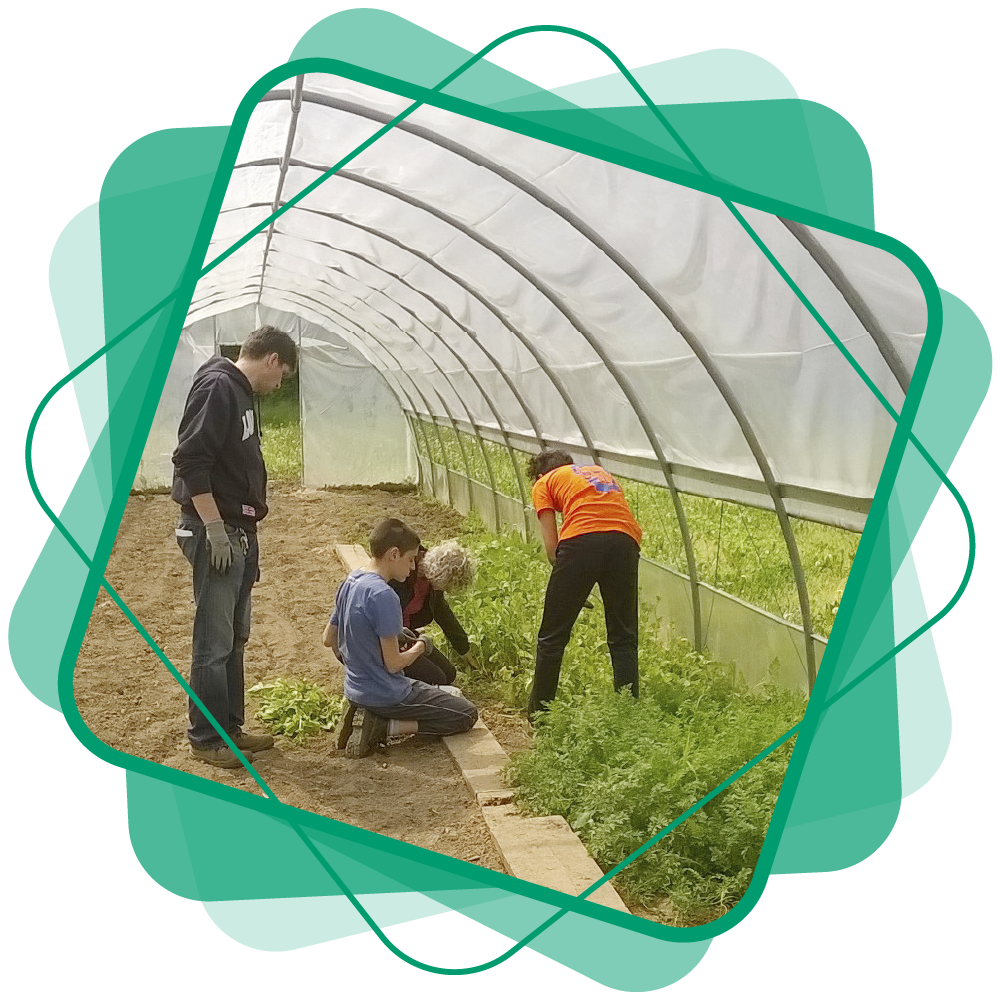 Agricoltura